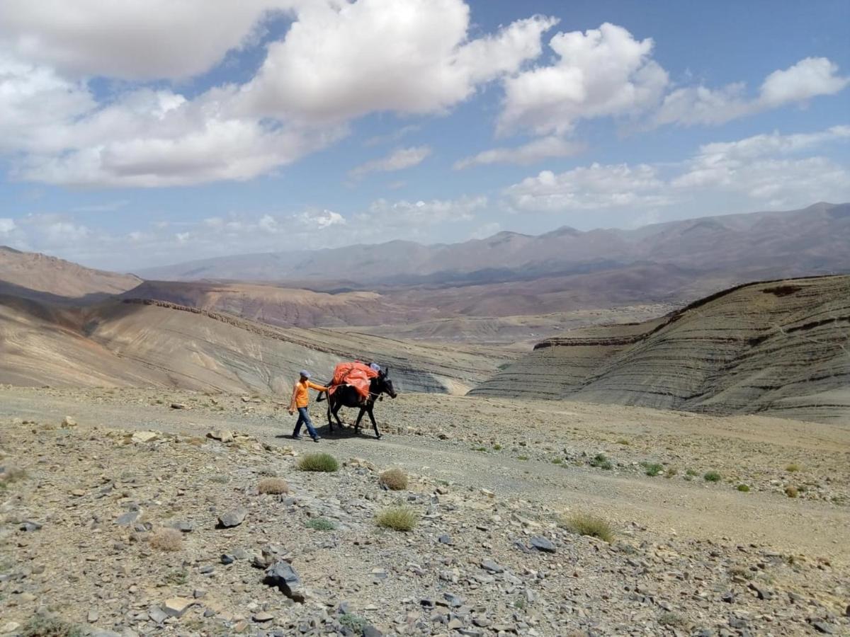 Maison D'Hotes La Vallee Des Nomades Msemrir Dış mekan fotoğraf